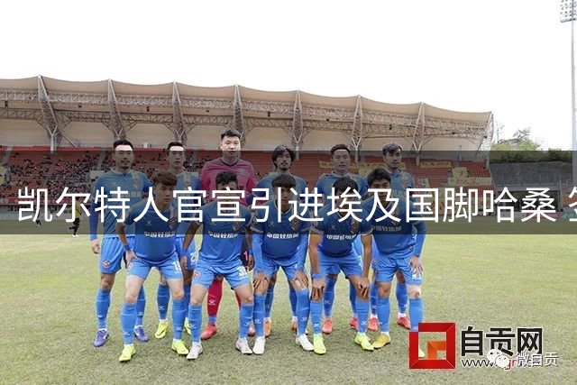 凯尔特人官宣引进埃及国脚哈桑 签约四年半附续约条款
