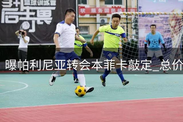 曝帕利尼亚转会本菲卡敲定 总价1900万欧分期支付